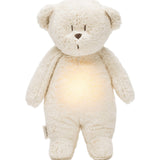 Humming Bear with a Lamp | Polar