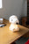 Snoopy First Light