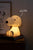 Snoopy First Light