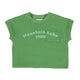 t'shirt | green w/ "mountain lake" print