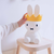 Crown Celebrate